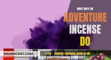 Adventure Incense: Unlocking the Secrets of Exploration and Fun