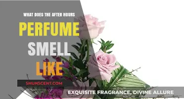 After Hours Perfume: A Sensual, Woody Scent