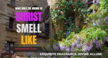 The Sweet Aroma of Christ: A Divine Fragrance