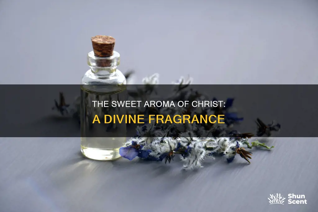 what does the aroma of christ smell like