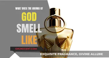 The Divine Aroma: What Does God Smell Like?