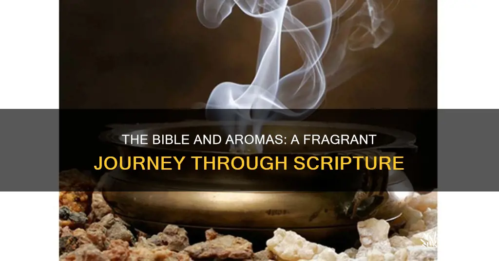 what does the bible say about aroma