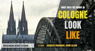 Cologne's Bridge: A Sight to Behold