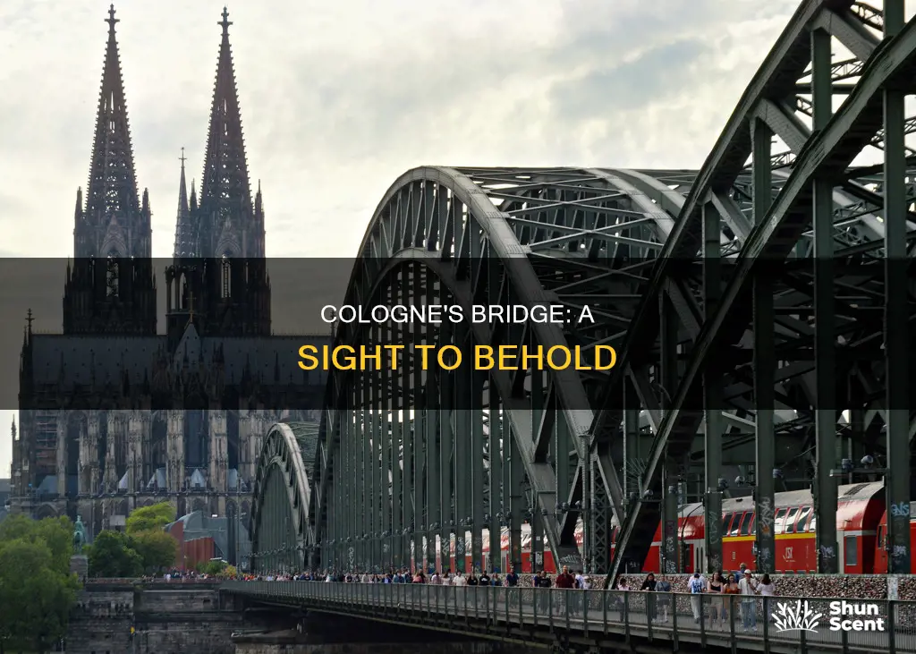 what does the bridge in cologne look like