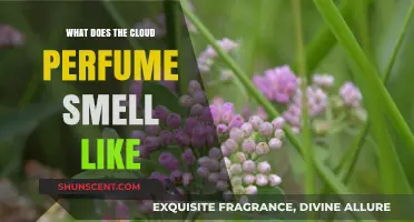 The Cloud Perfume: A Dreamy, Ethereal Scent