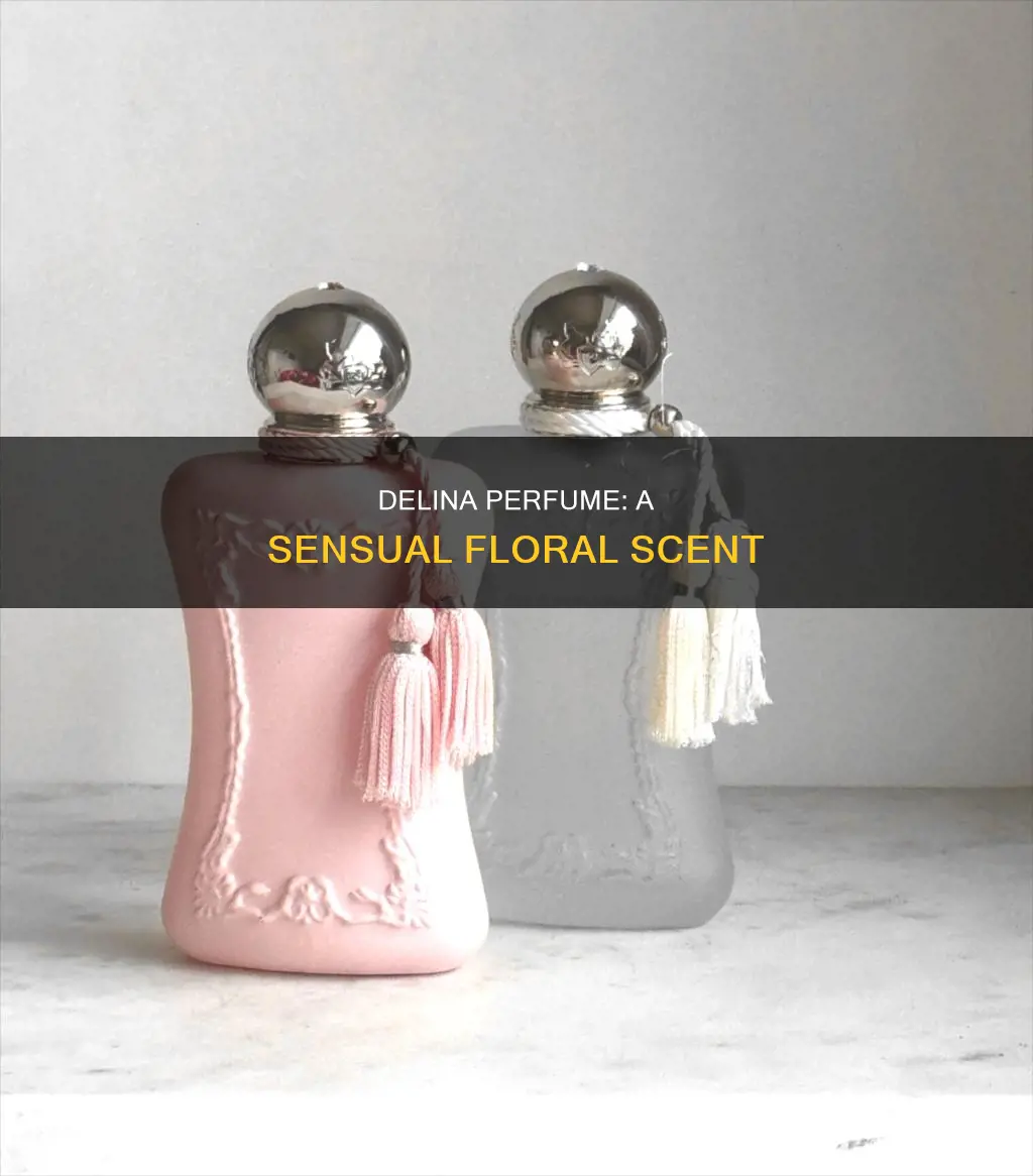 what does the delina perfume smell like