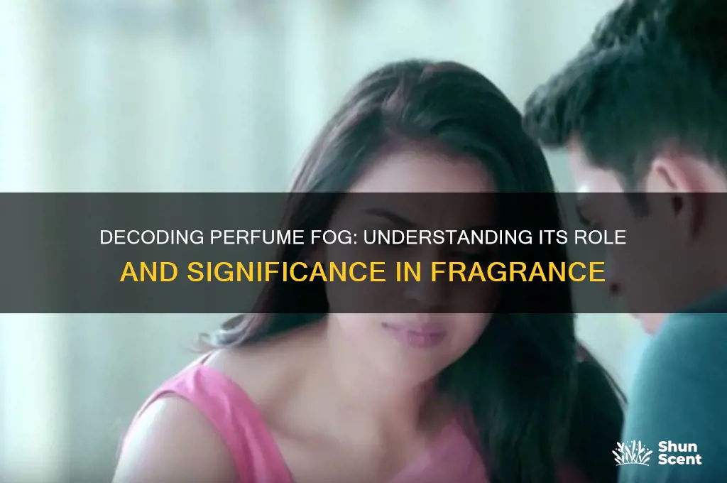 what does the fog mean in perfume