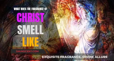 The Scent of Christ: Exploring the Divine Fragrance