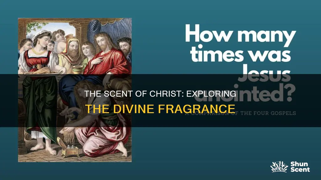 what does the fragrance of christ smell like