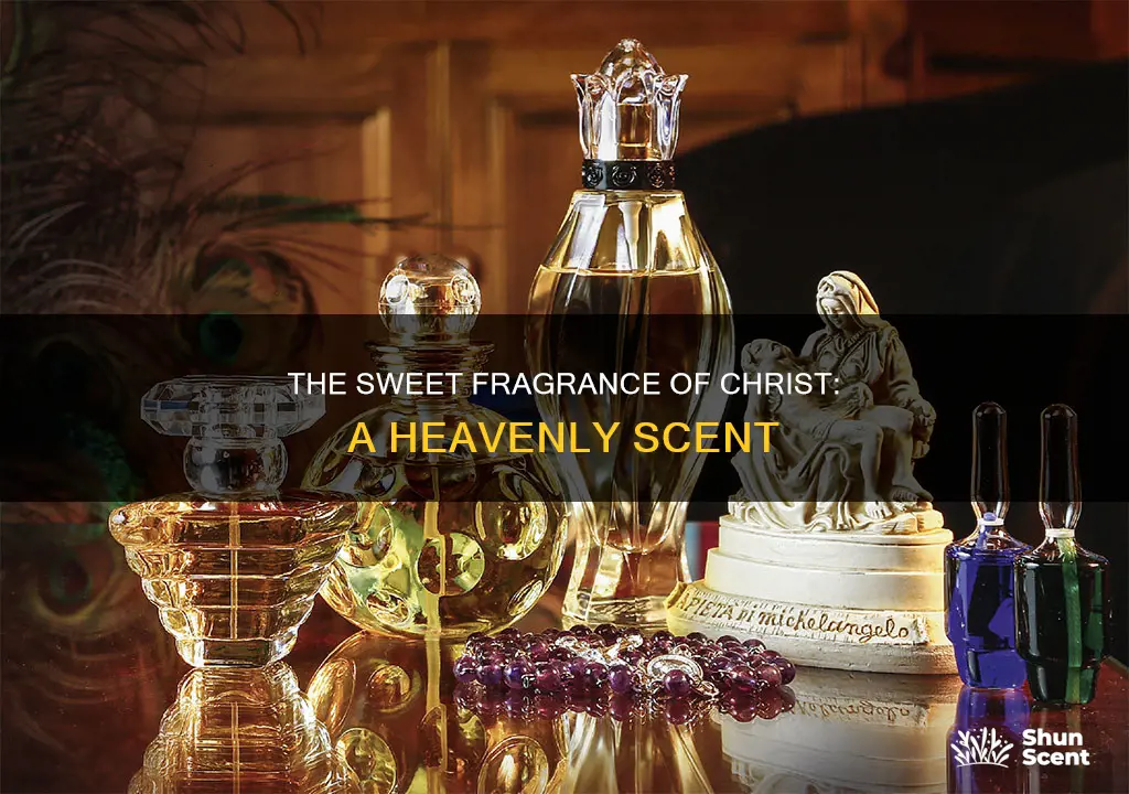 what does the fragrance of christ smell like