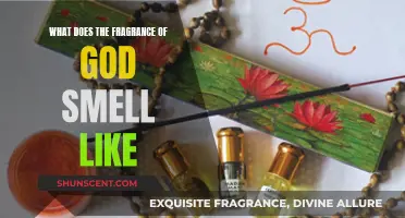 The Divine Scent: Exploring the Essence of God's Fragrance