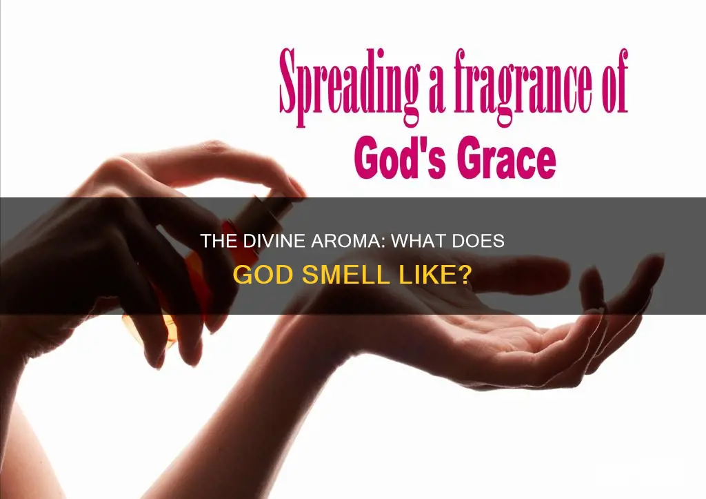 what does the fragrance of god smell like