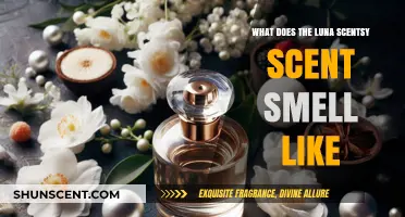 Unveiling the Mystique: What Does the Luna Scentsy Scent Smell Like?