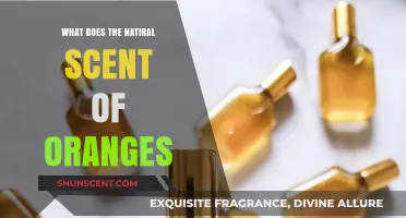 Unveiling the Natural Essence: The Irresistible Aroma of Oranges