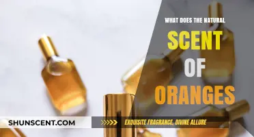 Unveiling the Fresh and Invigorating Natural Scent of Oranges
