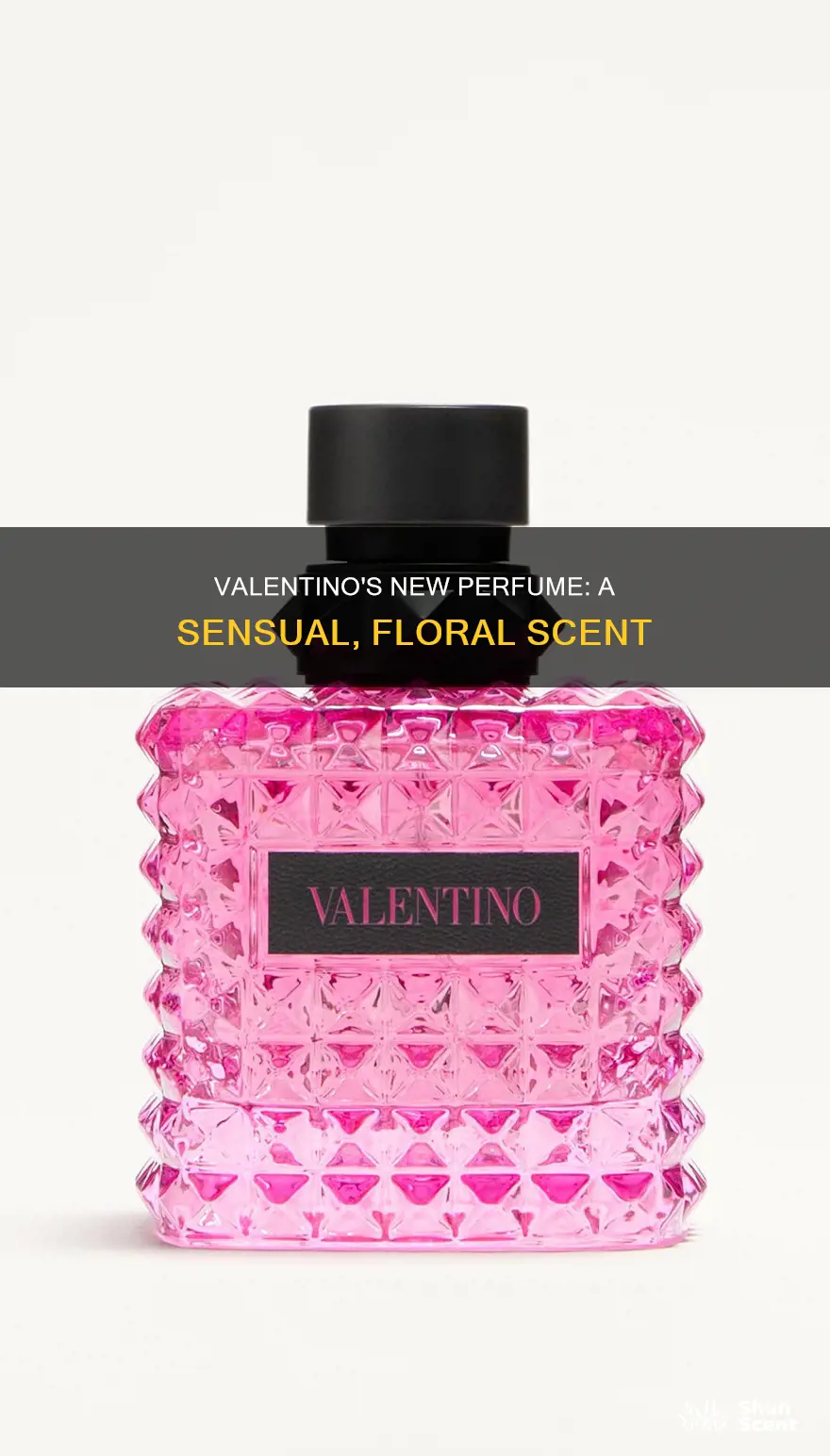 what does the new valentino perfume smell like