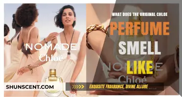 Chloé's Signature Scent: A Fresh, Feminine Fragrance