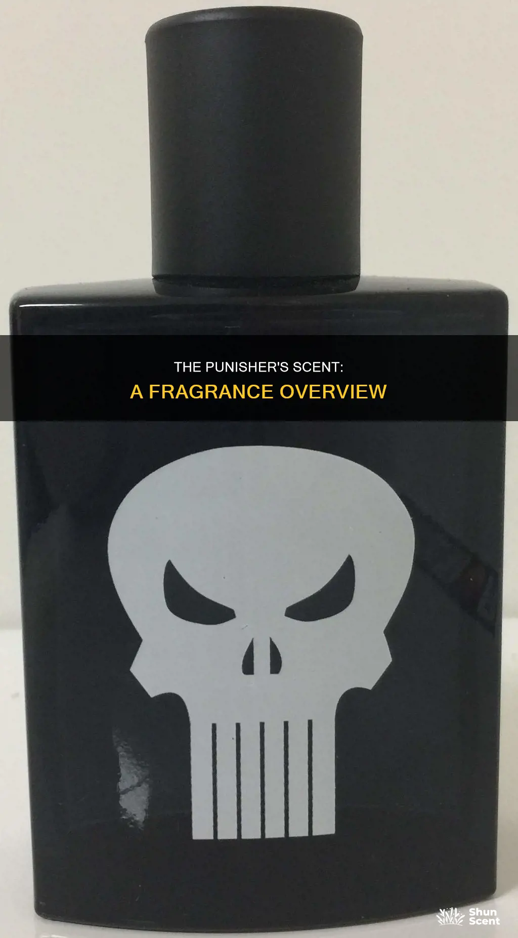 what does the punisher cologne smell like