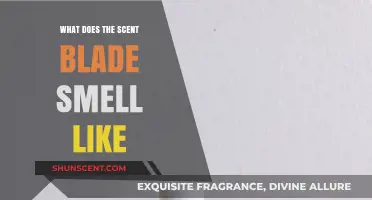 Unveiling the Enigmatic Aroma: What Does the Scent Blade Smell Like?