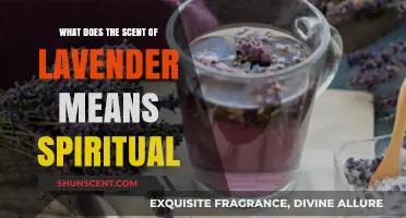 Unveiling the Spiritual Essence: Lavender's Scent and Its Meaning