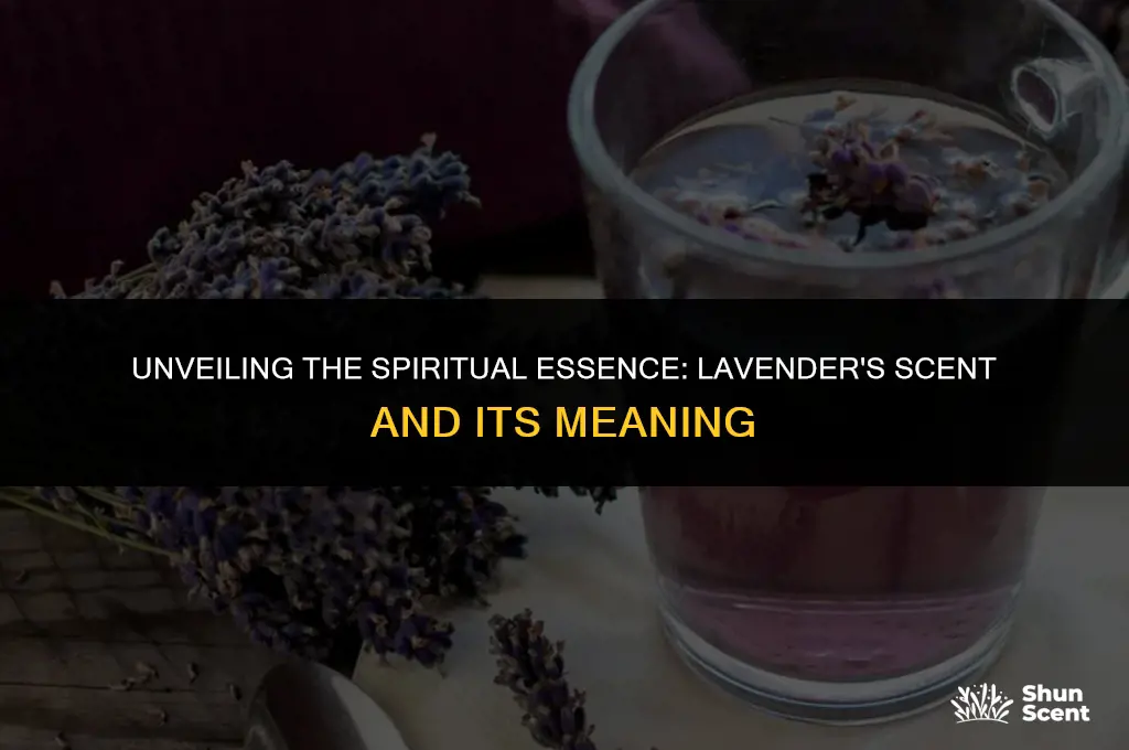 what does the scent of lavender means spiritual