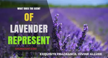 Unveiling the Symbolic Meaning Behind Lavender's Enchanting Aroma