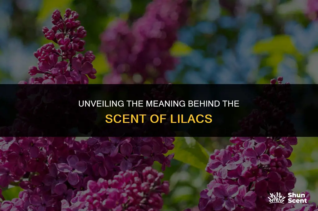 what does the scent of lilacs mean