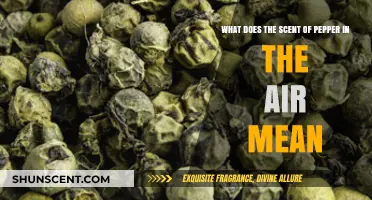 Unveiling the Mysteries: What Does the Scent of Pepper in the Air Mean?