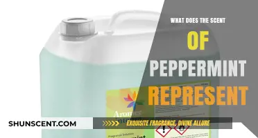 Unveiling the Festive and Healing Essence of Peppermint's Aroma