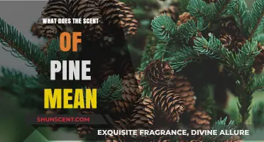 Unveiling the Secrets: What Does the Scent of Pine Mean?