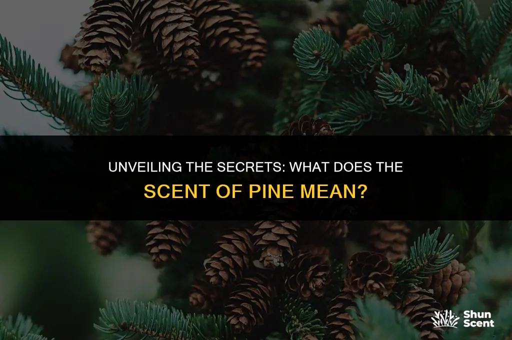 what does the scent of pine mean