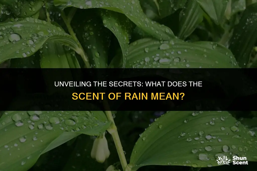 what does the scent of rain mean