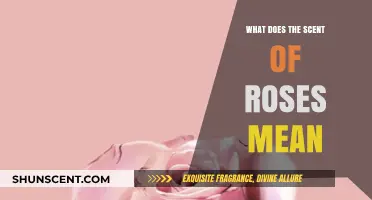 Unveiling the Secret Symbolism: The Scent of Roses Explained