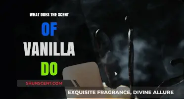 Unlocking the Power of Vanilla: How Its Scent Can Transform Your Mood and Space