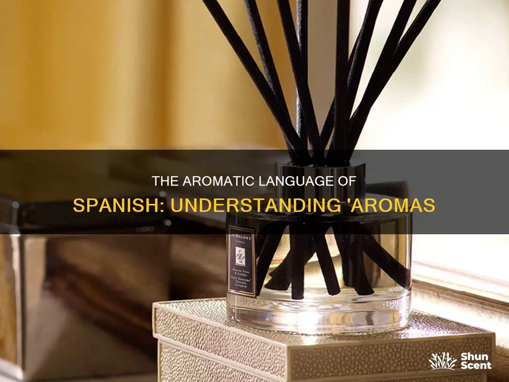 what does the translation for the spanish word aromas