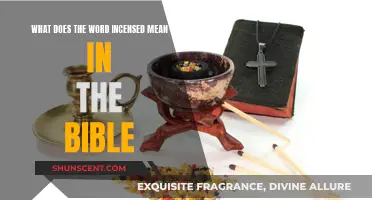 Incensed in the Bible: Understanding This Powerful Word