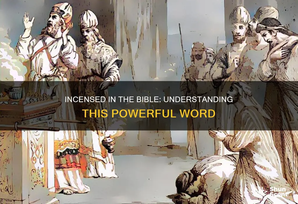 what does the word incensed mean in the bible