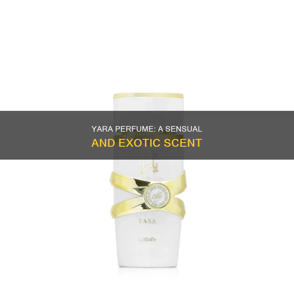 what does the yara perfume smell like