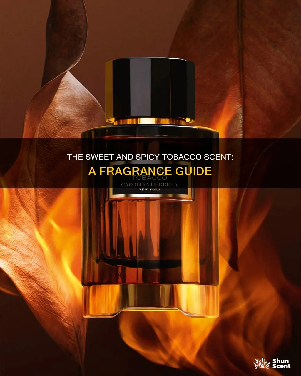 what does tobacco fragrance smell like