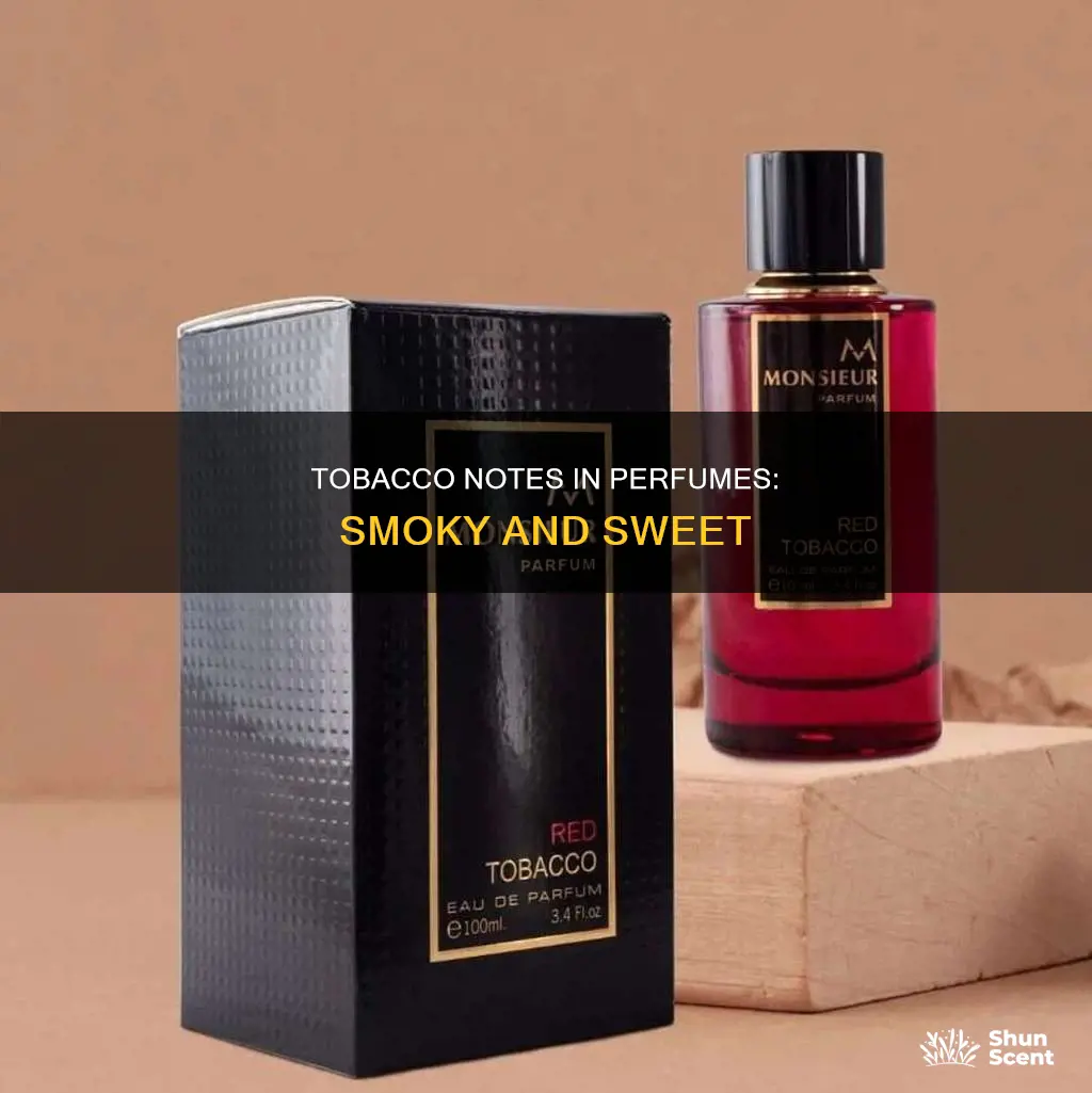 what does tobacco smell like in perfume