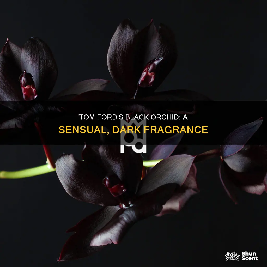 what does tom ford black orchid perfume smell like