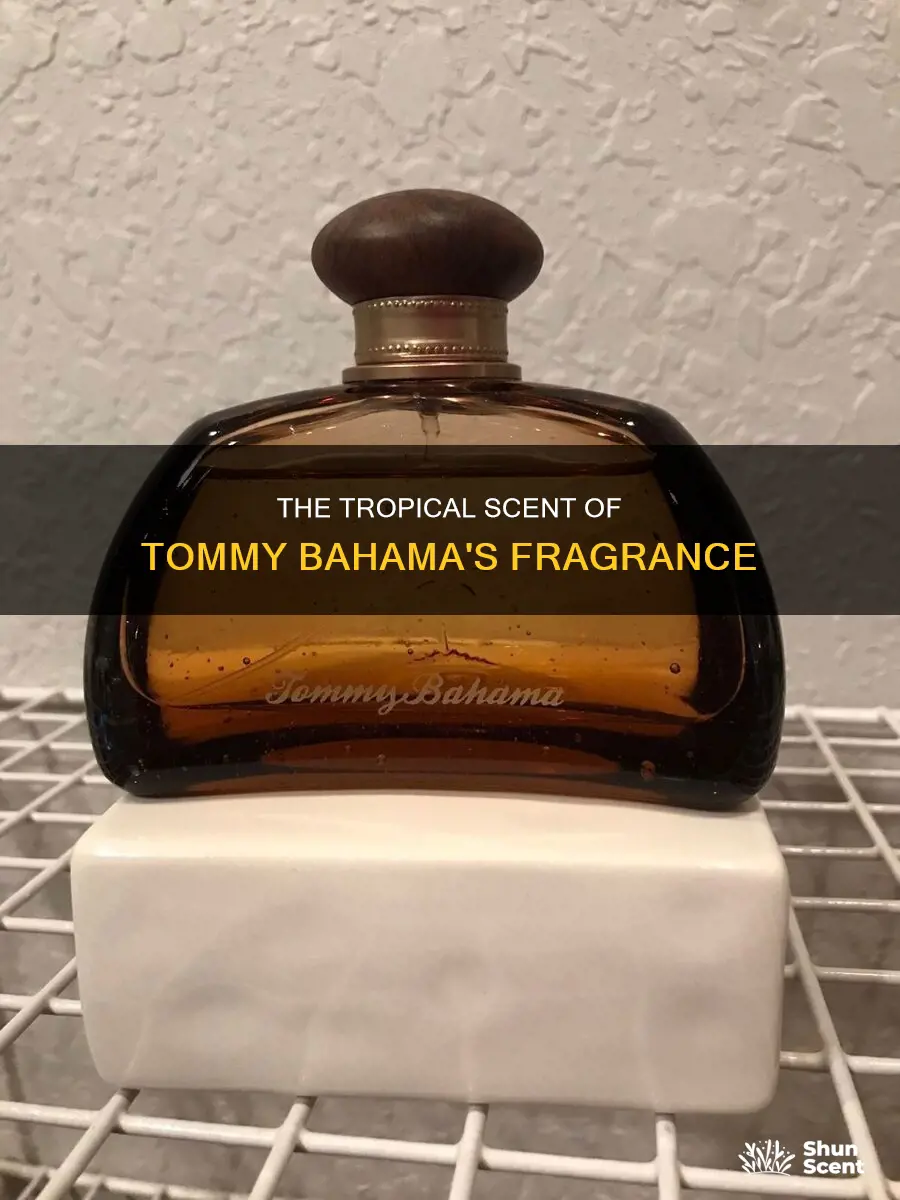 what does tommy bahama cologne smell like