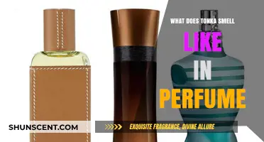 The Sweet, Woody, and Spicy Tonka Bean Fragrance