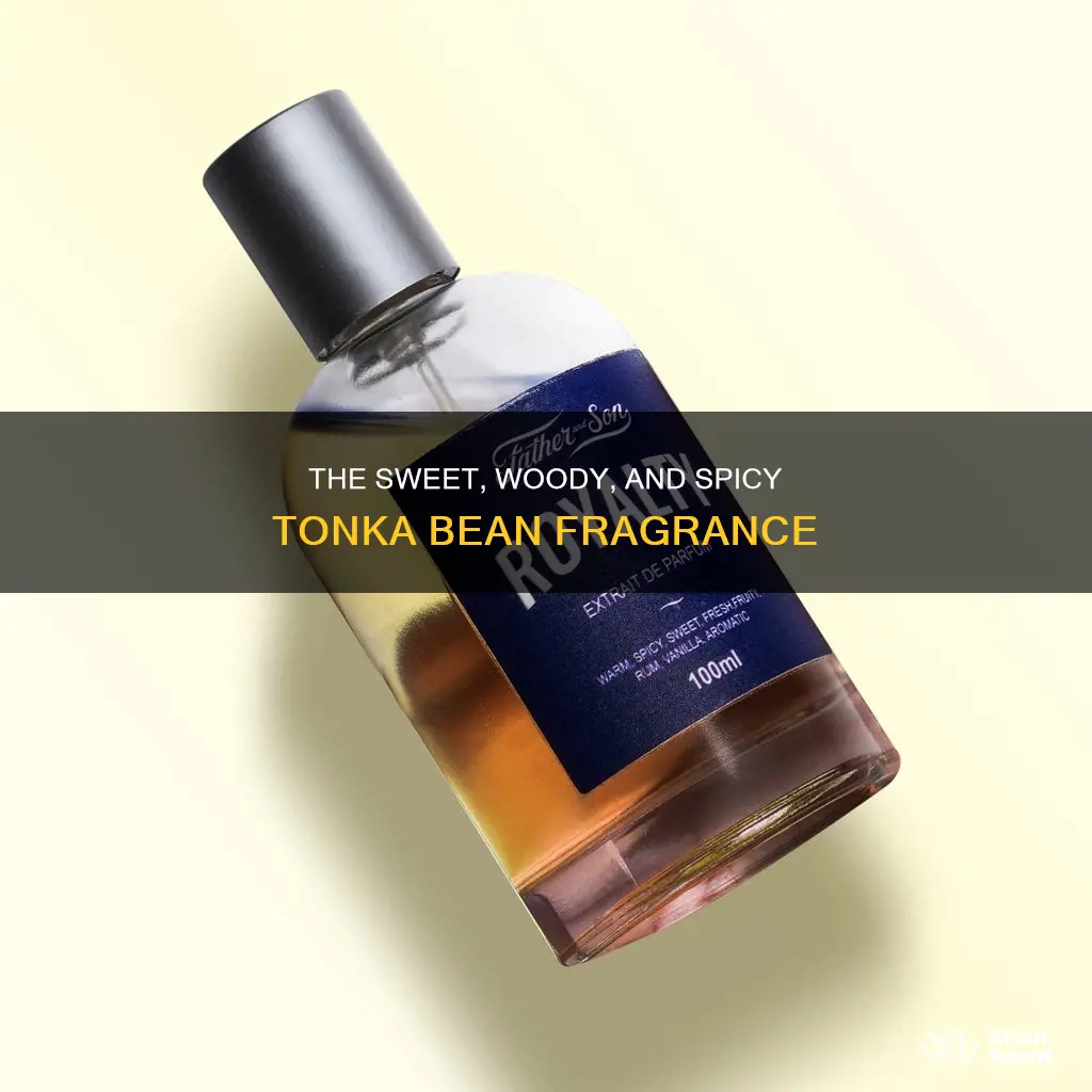 what does tonka smell like in perfume