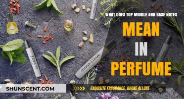 Understanding Perfume Notes: Top, Middle, and Base Explained