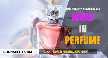 Understanding Perfume Notes: Top, Middle, and Dry Explained
