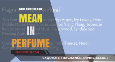 Understanding Top Notes: The First Impression in Perfumery Explained