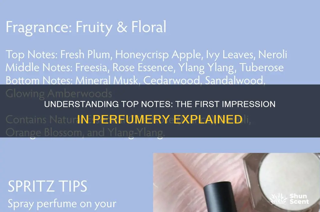 what does top note mean in perfume
