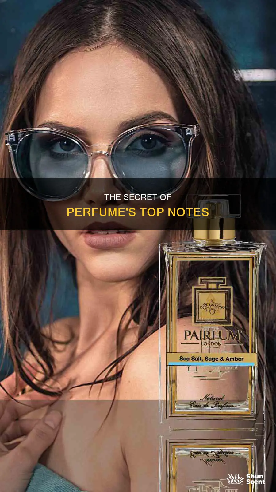 what does top notes mean in perfume