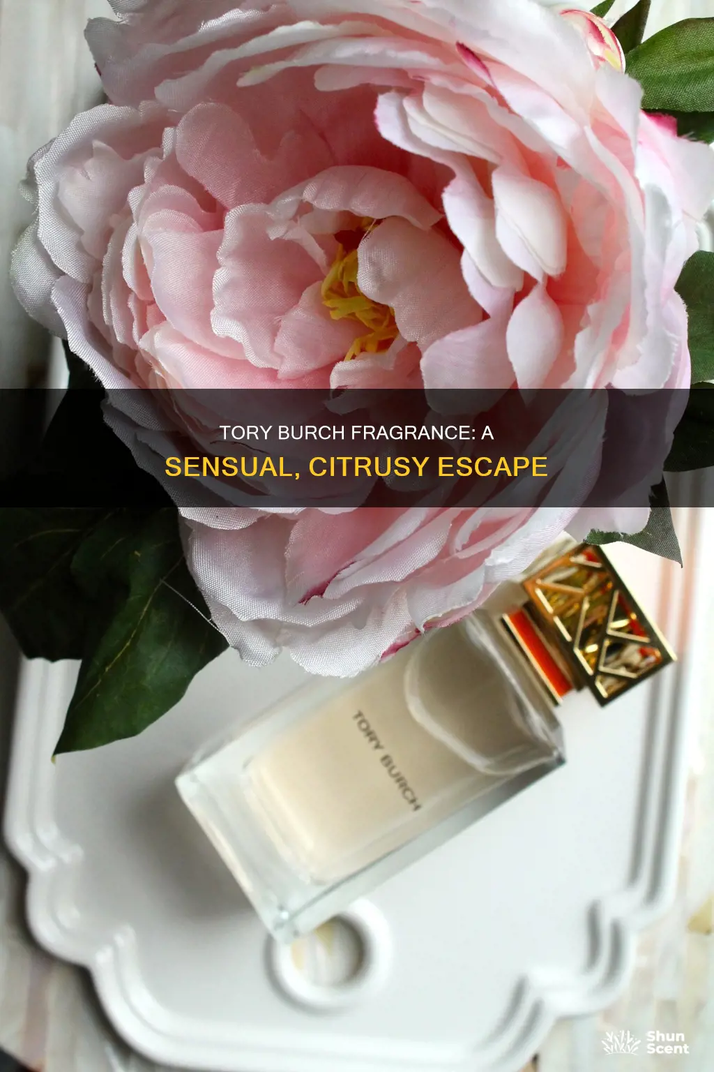 what does tory burch fragrance smell like